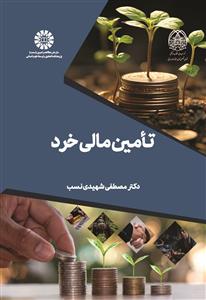  تامین مالی خرد
